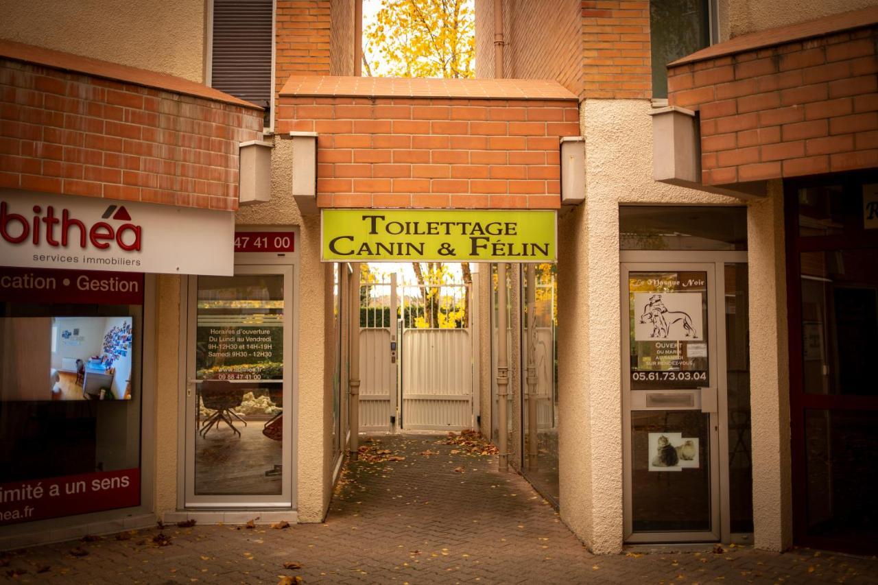 Charmant Studio☆Netflix☆Canal+☆Canal Sat☆Parking☆ Ramonville-Saint-Agne Exterior photo